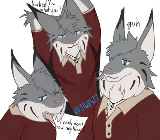 Silly Christian Lynx