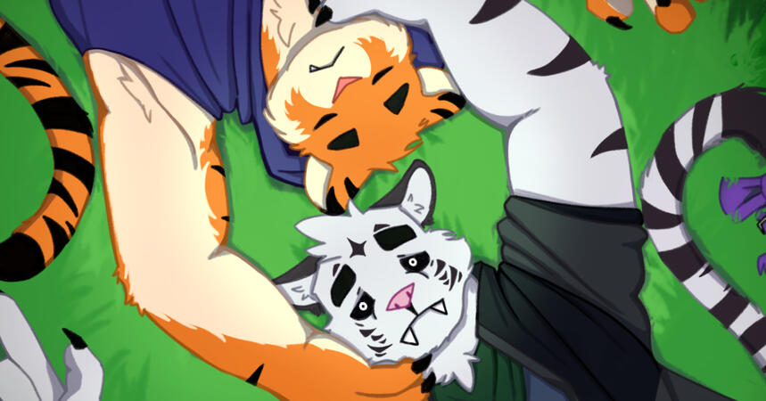 The Other Side of Paradise